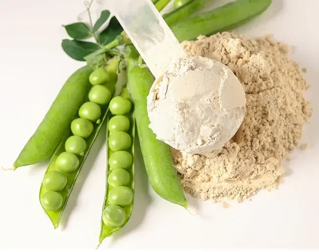 How To Choose Pea Protein Powder.webp